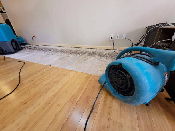 Reliable Basement Flood Cleanup contractor in Williamston, MI by Hirex Water Damage