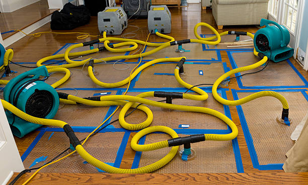 Professional Basement Flood Cleanup technician working in Williamston, MI